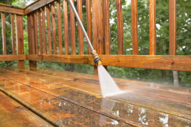 Animal Enclosure Cleaning in Jarrell, TX